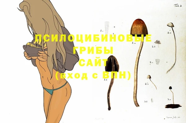 мяу мяу кристалл Богородск
